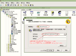 網(wǎng)奇cms sql版的安裝與轉(zhuǎn)換